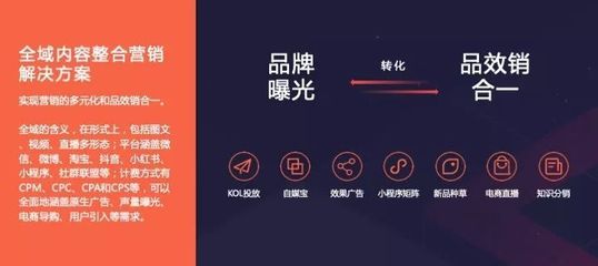 &ldquo;私域流量&rdquo;将成为2019营销关键词《2019内容创业年度报告》